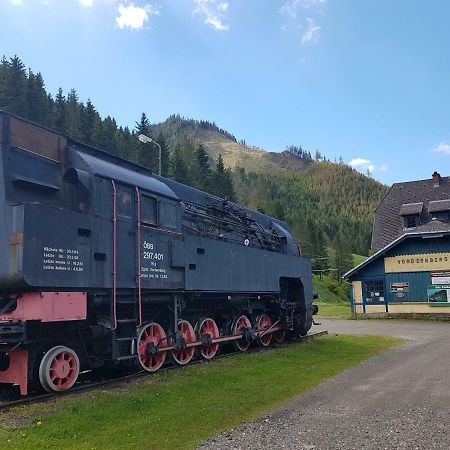 Vermietung Ronner Vordernberg Екстериор снимка